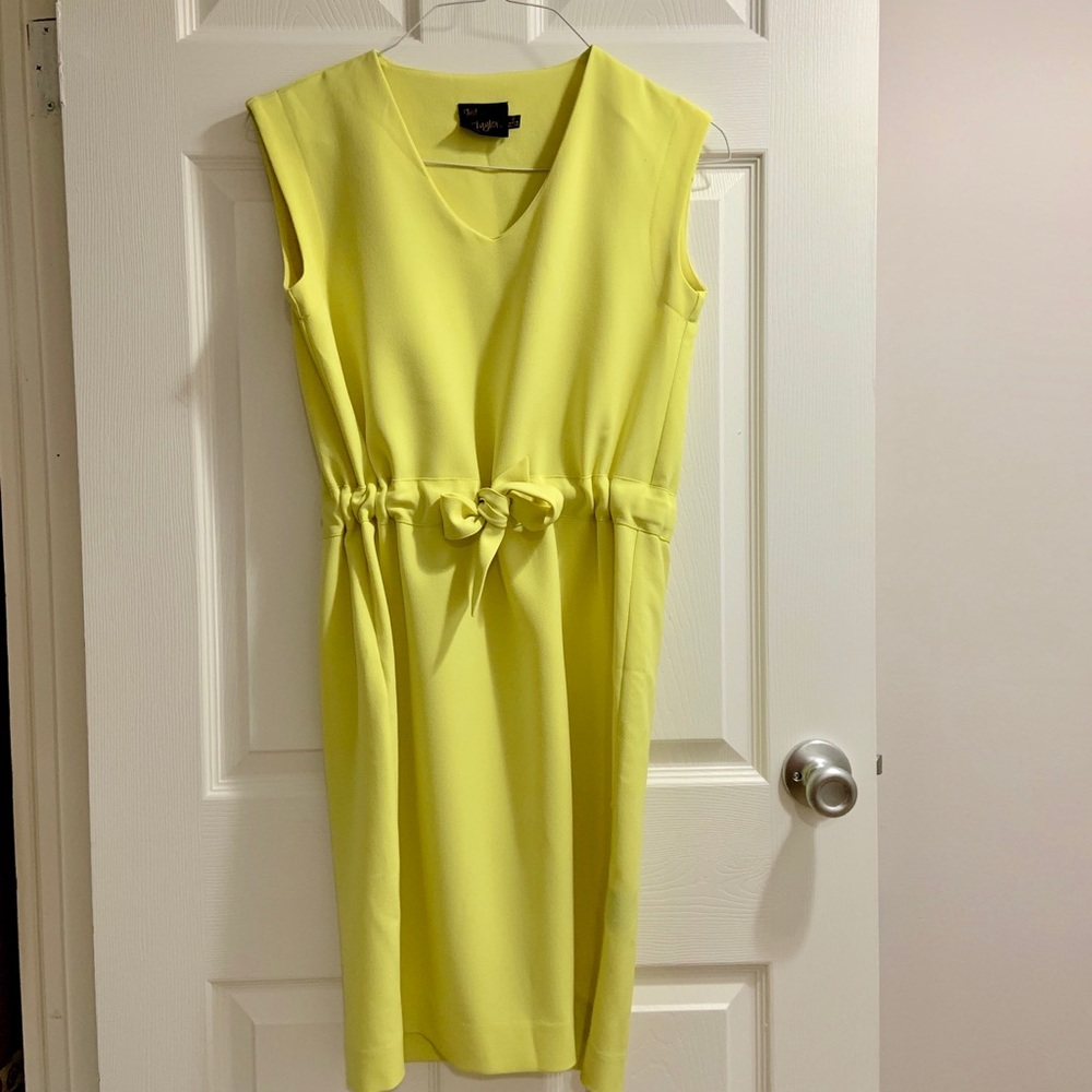 V-neck Cinched Waist Dress